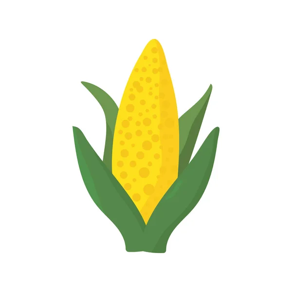 Espiga de milho vegetal ícone de comida saudável — Vetor de Stock