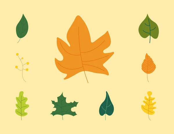 Bundle of nine colors leaves nature icons — Stock Vector