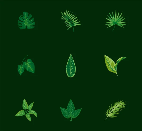 Bundel van negen bladeren planten groene natuur pictogrammen — Stockvector