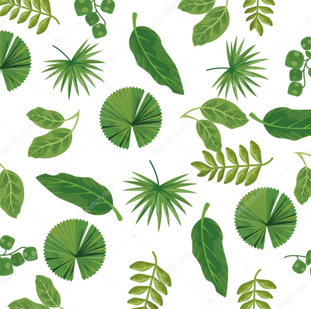 leaves plants nature pattern background