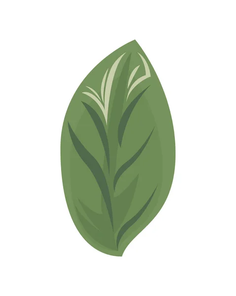 Ecology leaf plant green nature icon — Stock Vector