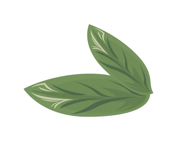Ecología hojas planta verde naturaleza iconos — Archivo Imágenes Vectoriales
