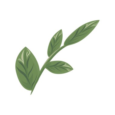 Ekoloji yapraklı dal bitkiler yeşil doğa simgeleri