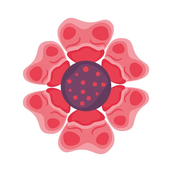 Piękny kwiat różowy dekoracyjny ikona — Wektor stockowy