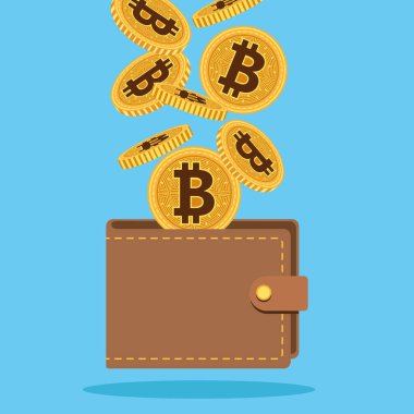 bitcoins siber para cüzdanında