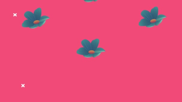 Pola bunga animasi dekoratif dalam latar belakang merah muda — Stok Video