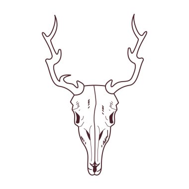 Vahşi ren geyiği simgesinin kafatası