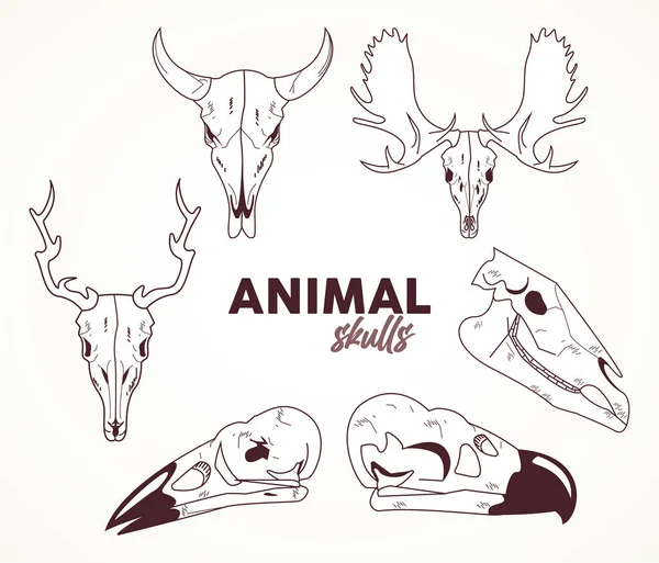 Manojo de seis cráneos animales cabezas iconos — Archivo Imágenes Vectoriales