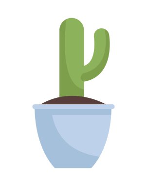 seramik çömlek kaktüsü doğa izole ikonu