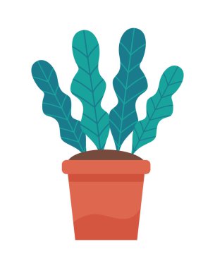 turuncu seramik saksıda ev bitkisi doğa izole ikonu