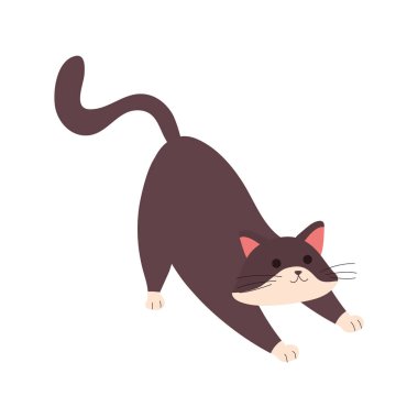 Şirin kedi kedi karakteri.