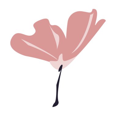 pembe egzotik çiçek