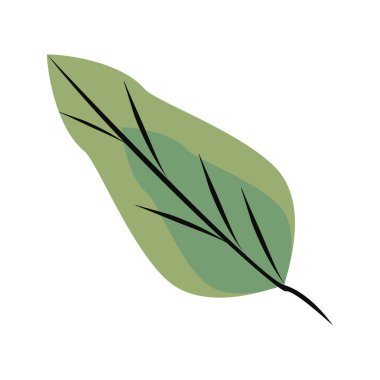 egzotik yeşil yaprak