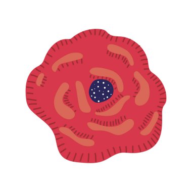 kırmızı çiçek bahçesi