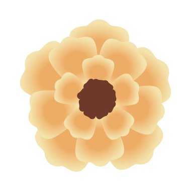 sarı sevimli çiçek