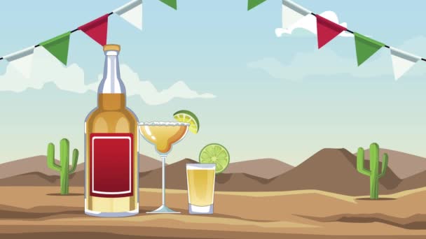 Mexican celebration with tequila cocktails in desert — Stock Video