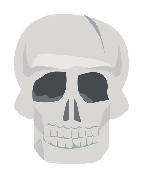 Voorhoofd schedel — Stockvector