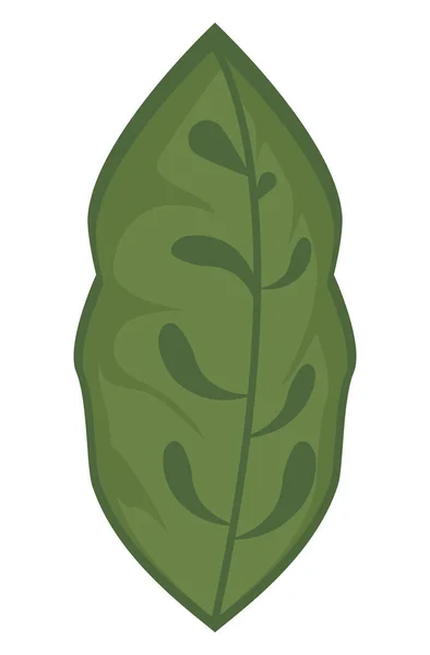Zöld levelű növény — Stock Vector