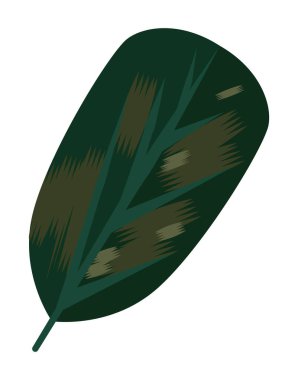 ekoloji yaprağı bitkisi