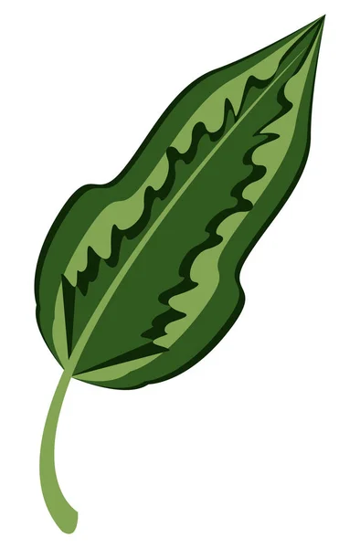 Naturaleza hoja planta — Vector de stock