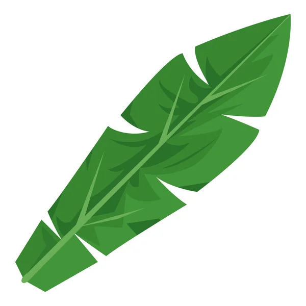 Palmier à feuilles tropique — Image vectorielle