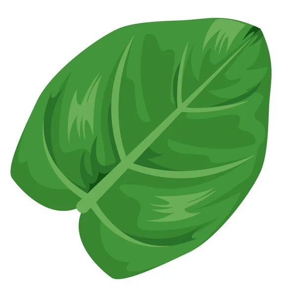 Palma de hoja tropical — Vector de stock