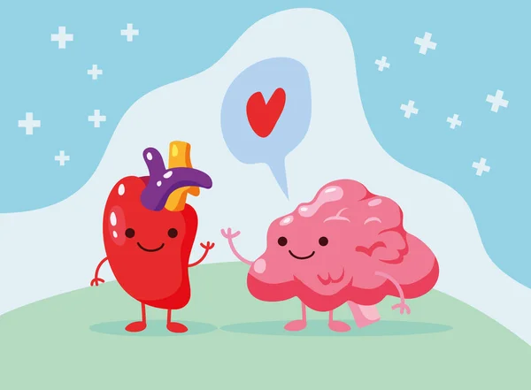 Hjärta och hjärna — Stock vektor
