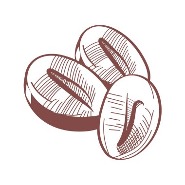 Kakao tohumu simgeleri