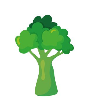 brokoli yeşili sebze