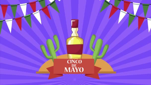 Celebración del cinco de mayo con tequila — Vídeo de stock