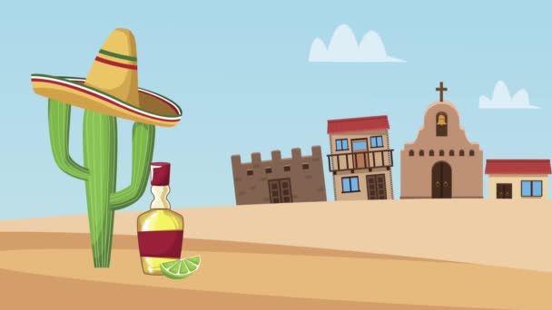 Cactus and tequila in village — Stock Video