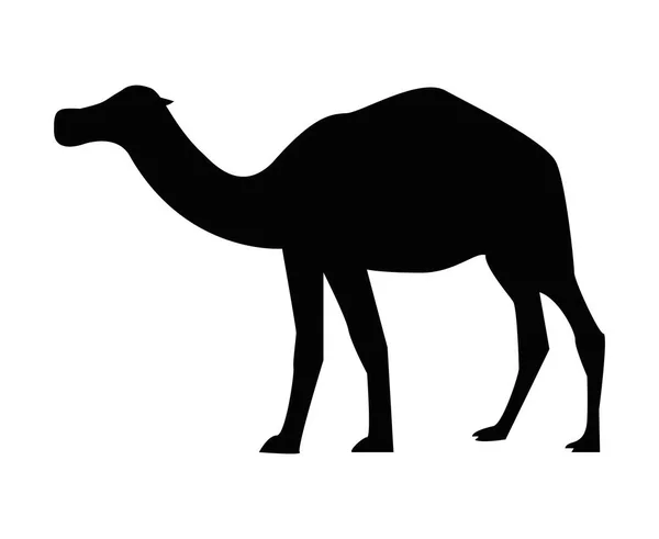 Svart kamel silhuett — Stock vektor