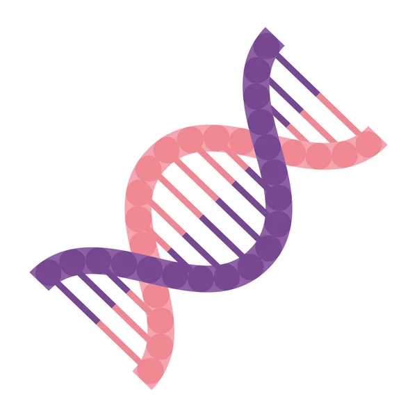 ДНК-генетична молекула — стоковий вектор