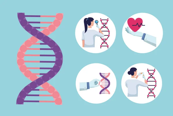 Cinco ícones de testes genéticos — Vetor de Stock