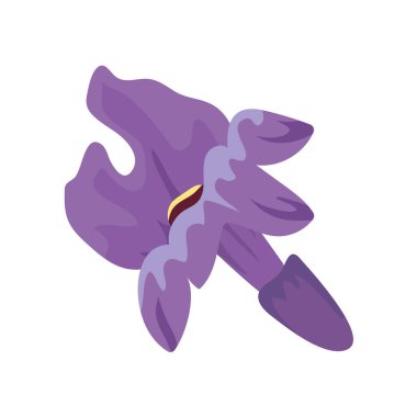 Şirin lavanta çiçeği