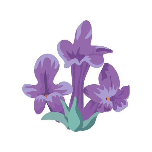 Szépség levendula virágok és levelek — Stock Vector