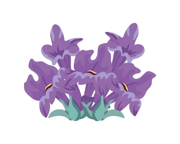 Lila lavendelbloemen en -bladeren — Stockvector