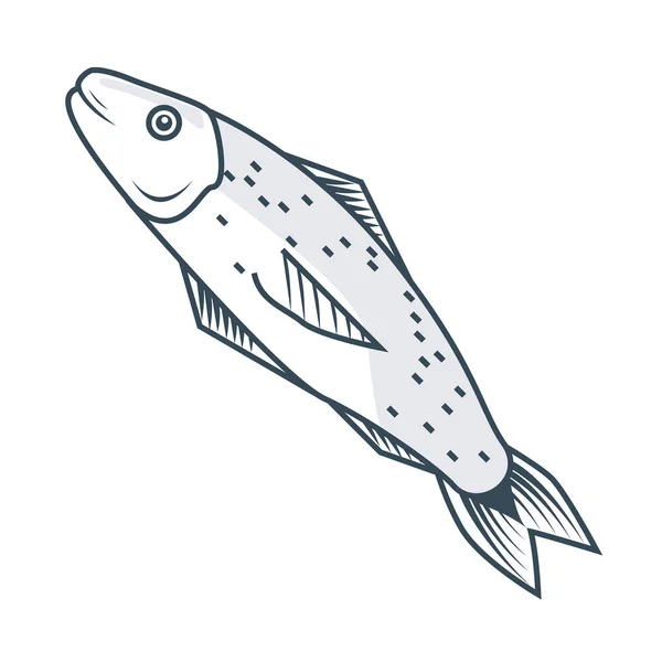 Fish sketch icon — Stock Vector