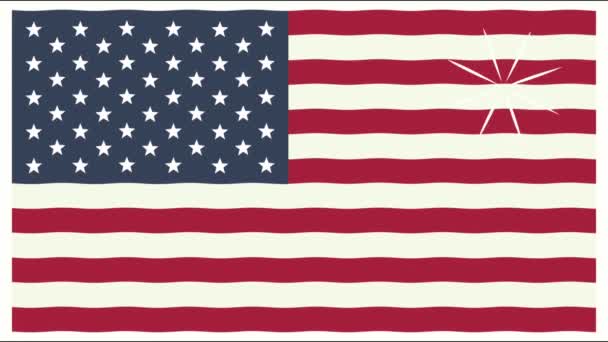 Verenigde Staten van Amerika vlag animatie — Stockvideo