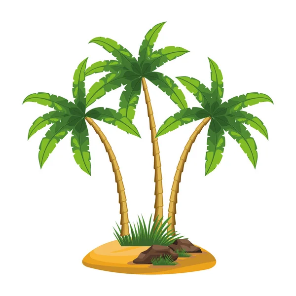 Drei tropische Palmen — Stockvektor