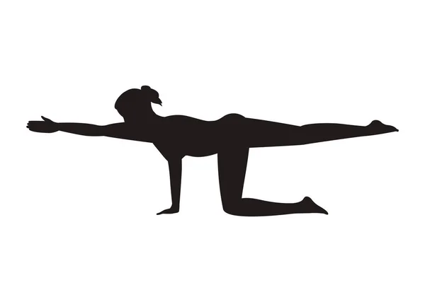 Équilibrage pose de yoga chat — Image vectorielle