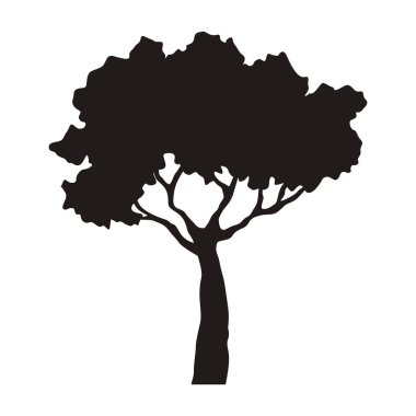 Ağaç ormanı silueti
