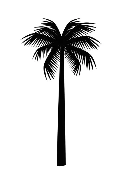 Tree palm silhouette — Stock Vector