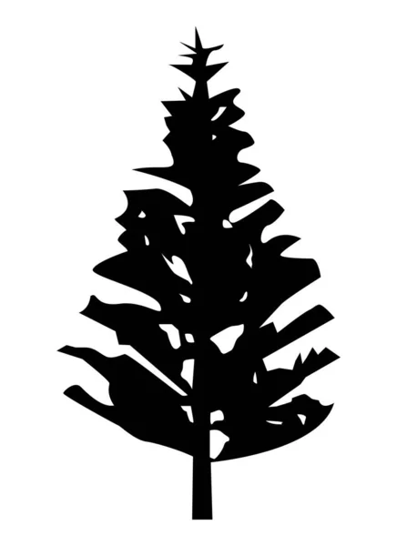Silueta de pino árbol — Vector de stock