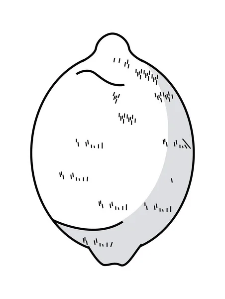 Croquis de fruits de citron — Image vectorielle