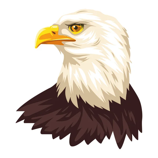 Bald eagle bird — Stock Vector