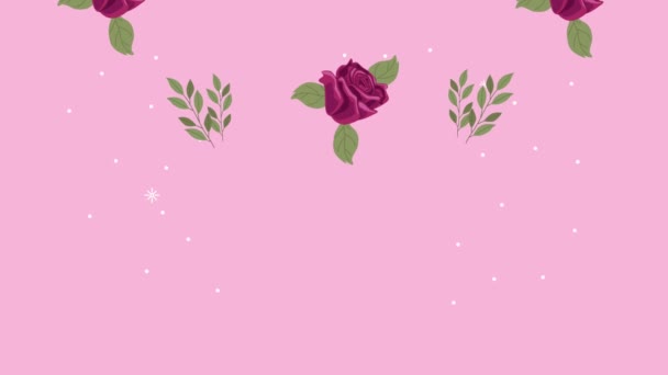 Piros virágok és levelek minta a háttérben — Stock videók
