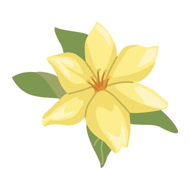 bahar sarısı çiçek