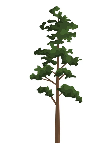 Träd från växter — Stock vektor