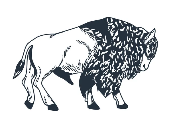 Gnus Wildtier — Stockvektor